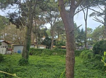 Terreno · 428m² · Venta Lote Residencial Unifamiliar Ostende