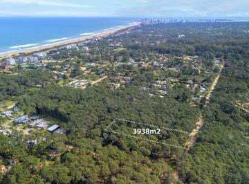 Terreno · 3938m² · Venta Terreno Desarrollo Rincon del Indio