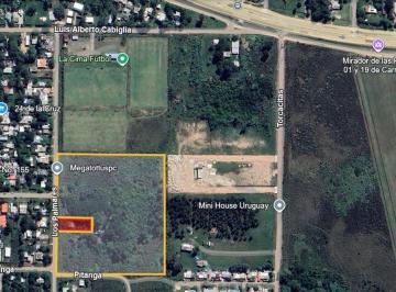Terreno · 29100m² · Venta de Terrenos 3 Padrones en Colonia Nicolich