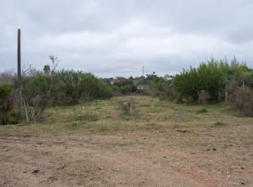 Terreno · 66815m² · Importante Predio Logístico Cerca de Ruta 101