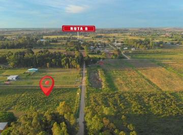 Campo · 3ha · Venta de Campo 3ha en Empalme Olmos