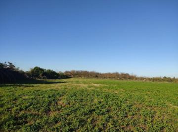 Campo · 6ha · Ruta 75, Campo de Casi 6 Hás.
