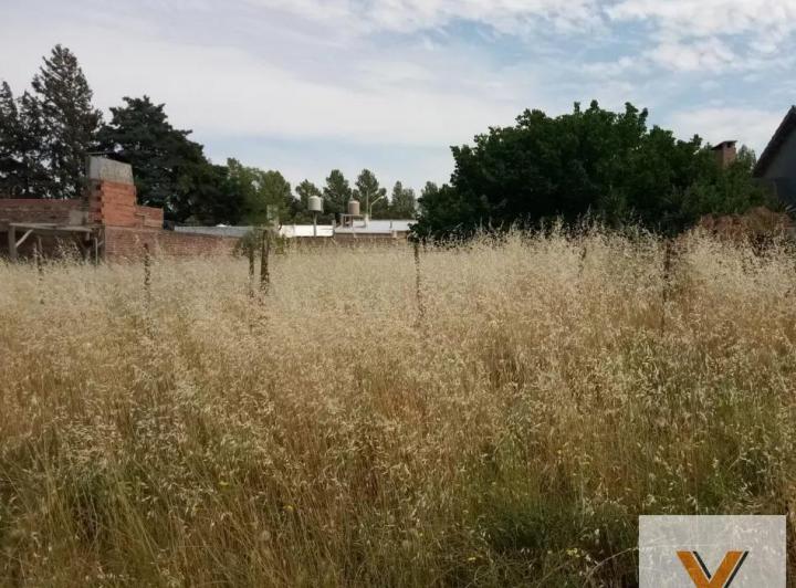 Terreno · 800m²