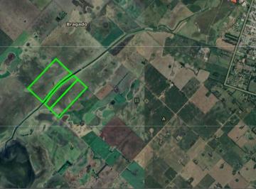 Campo · 108ha · Campo en Venta en Bragado