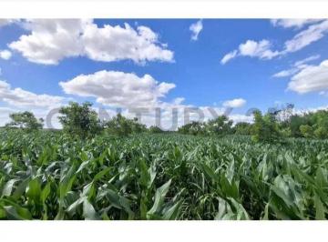 Campo · 5m² · Campo Agrícola de 5 Hectáreas en Venta – Esperanza, Santa Fe