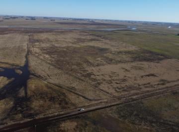 Terreno , Roque Pérez · Campo Ganadero a La Venta