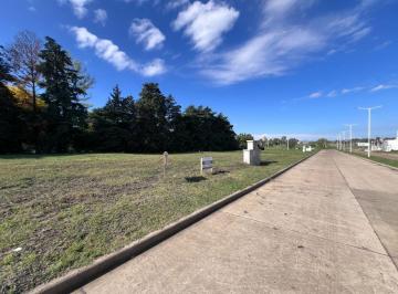 Terreno , Gualeguaychú · Gualeguaychú - Terreno en El Loteo Terra - Urquiza Al Oeste – Parada 10.
