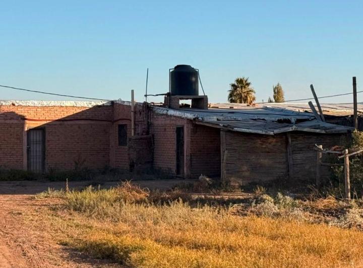 Campo · 27ha
