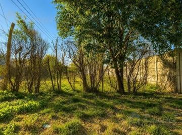 Terreno · 420m² · Lote Terreno en Venta - Francisco Alvarez, Moreno