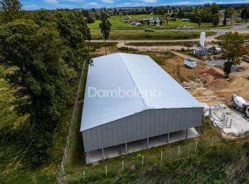 Depósito · 1600m² · Depósito en Venta en Mercedes, Resto de La Provincia, Buenos Aires