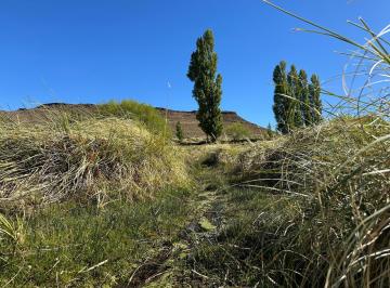 Campo · 136850000ha · 4 Dormitorios · Venta Campo 13.685 Has Cercano a Ingeniero Jacobacci - Río Negro
