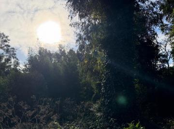 Terreno · 450m² · Terreno - Bosque Peralta Ramos