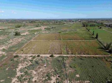 Terreno · 240000m² · Venta Finca Las Heras, Mendoza