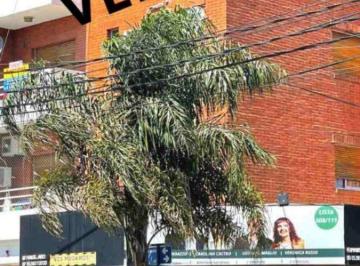 Departamento de 3 ambientes, La Matanza · Departamento en Venta en Ciudad Madero