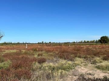 Campo · 80ha · Finca en Venta en San Martin de 37 Ha