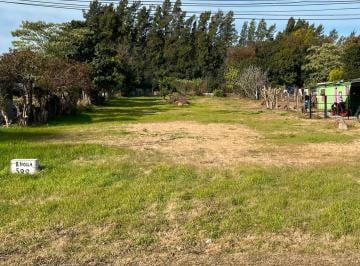Terreno · 1033m² · Terreno en Excelente Ubicación Muy Amplio 1033 m²