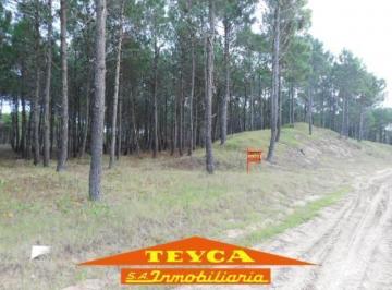 MCN-MCN-11_2 · Lote | Boulevard Florentino Ameghino