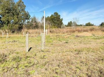 Terreno · 355m² · Terreno El Martillo