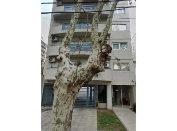 Departamento · 35m² · 1 Ambiente · Impecable Depto en Alquiler 1 Ambiente Muy Luminoso