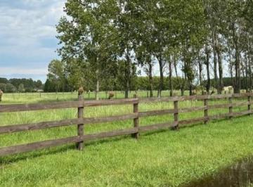Terreno · 10000m² · Venta 1 Hectárea, en La Macarena Polo, Capilla del Señor
