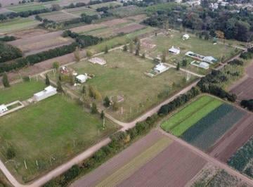 Terreno · 300m² · Lotes en Venta - Monte Vera - Loteo La Merced