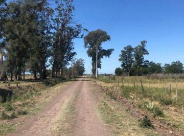 Terreno · 520000m² · Retasado!venta Campo 52 Ha San Vicente