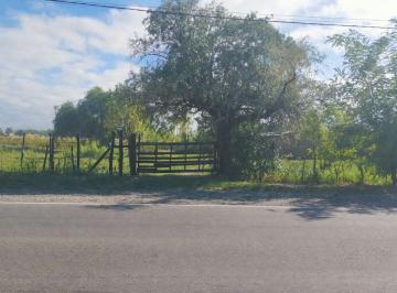 Terreno · 55301m² · Lote en Venta de 5 Hectáreas en San Rafael Mendoza