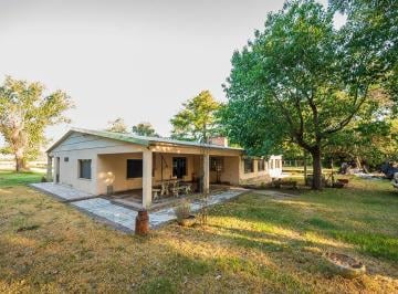 Campo · 250ha · Venta Campo 6 Ha con Chalet y Buen Acceso
