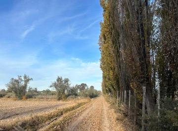 Terreno · 450m² · Venta Lote de 2600 m² S/ Calle Mitre a m de Serpa
