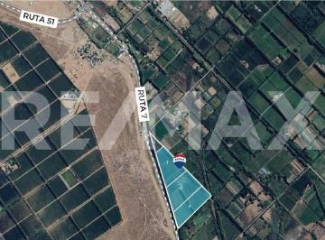 Terreno · 32890m² · Venta de Ha - Frente Ruta 7 - Vista Alegre