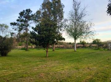 Terreno · 1250m² · Terrenos / Lotes en Venta Oliveros 1250 m²