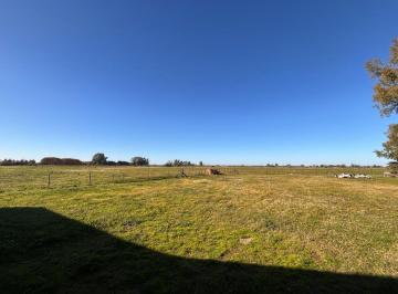 Campo · 337ha · Oportunidad Campo Multiuso/logistica 14 Ha