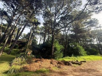 Terreno · 600m² · Lote en Venta Pinamar Norte