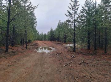 Terreno · 1252m² · Venta Terreno en Bariloche Dos Valles Lote L44