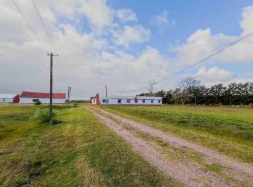 Campo · 5ha · Venta Chacra 11 Dorm. Los Cerrilllos