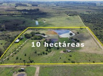 Campo · 390ha · Venta de Chacra, Casas y Campos en Las Brujas