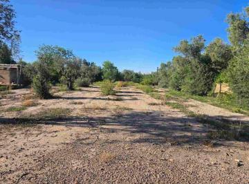 Terreno · 3100m² · Venta Lote / Terreno - Coquimbito - Bodegas - Turismo