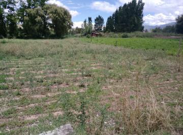 Terreno · 6109m² · Vendo Terreno - Villa Mercedes - Payogasta - Cachi, Salta