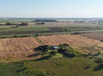 Campo · 150m² · 4 Ambientes · Campo de 12,5 Has en Alquiler Sobre Autopista 9 (Sobre Autopista Bs As Rosario)