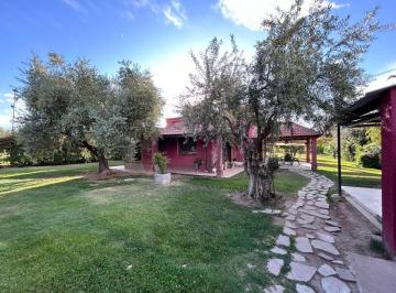 Casa de 6 ambientes, Rodeo del Medio · Vendemos Casa Quinta Única en Maipú: 2.100 m² de Naturaleza, Privacidad y Calidad de Vida.
