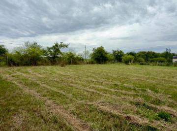 Terreno · 2500m² · Terreno Venta 2500 m² Escritura Inmediata Ideal Quinta Arturo Segui
