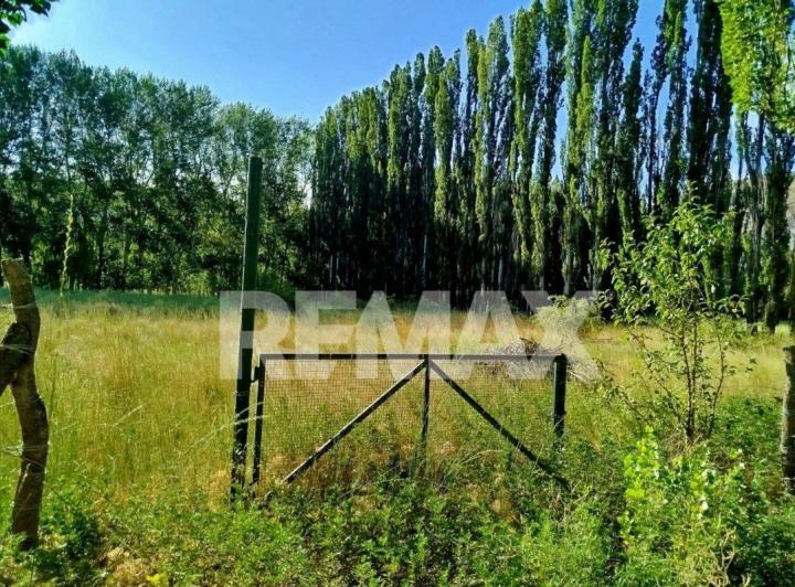 Terreno · 11023m²