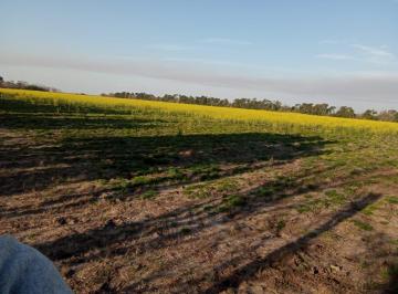 Terreno 10ha Venta · Hermosa Parcela Rural a 2 Km de Rio Tala, San Pedro