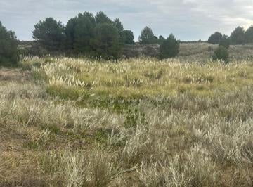 Terreno · 328m² · Venta Lote en Balneario Sauce Grande