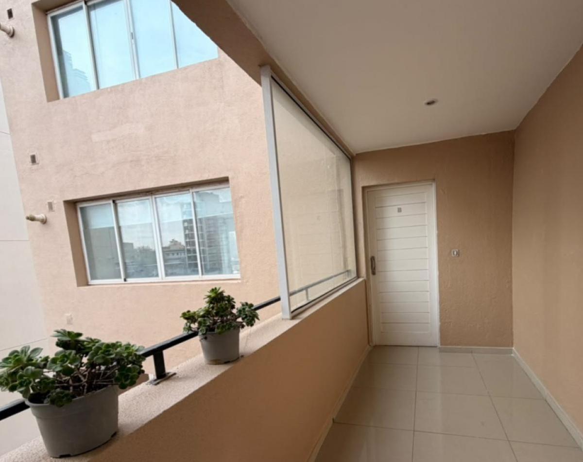 Departamento de 2 ambientes a la calle, con cochera cubierta