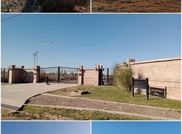 Terreno , Vistalba · Hermoso Terreno en Vistalba