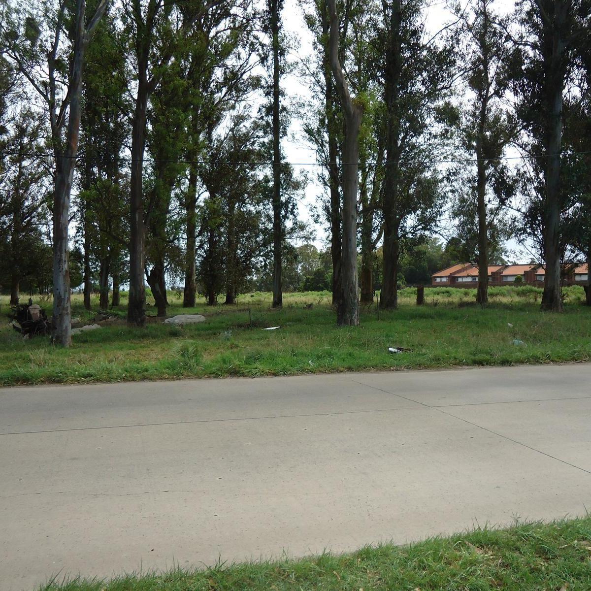 Terreno 20020 m² en Santa Celina, acceso pavimentado y todos los servicios