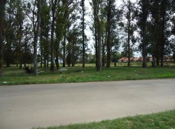 Terreno · 20020m² · Venta Terreno - 20.020 m² - Santa Celina - Inversión / Financiamiento