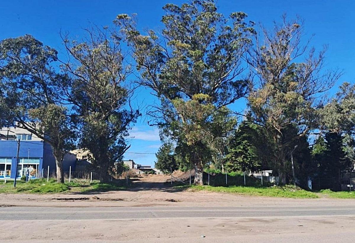 Venta 3 lotes en bloc, 1457m² sobre Au. Jorge Newbery, ideal para desarrollo