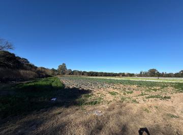 Foto · Campo 9 Ha con Acceso Asafalto Sobre Cno Santa Rosa Capdevilla Rec Dpto
